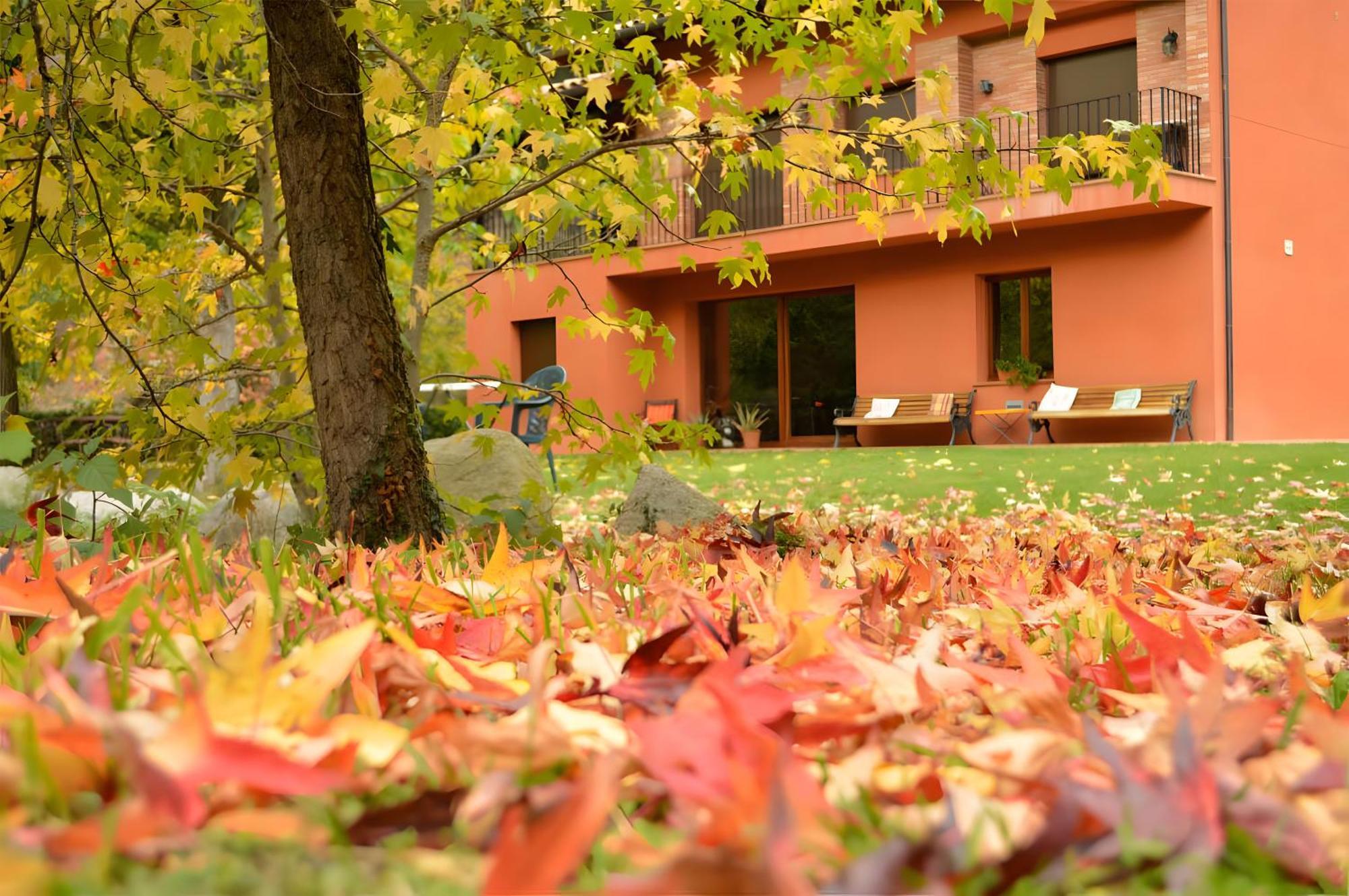 Ca La Montse Villa Viladrau Exteriör bild